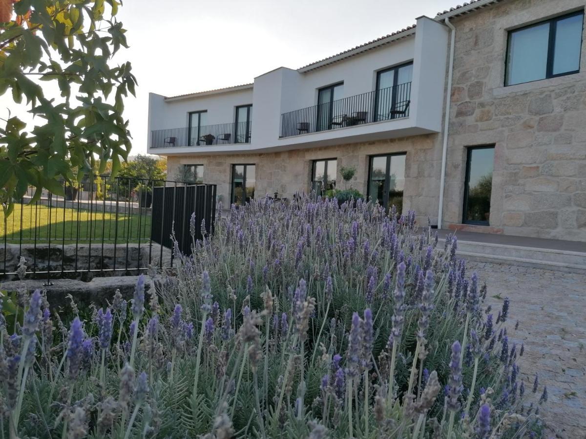 Carvalhal Redondo - Farm House Castelo Novo Exterior photo