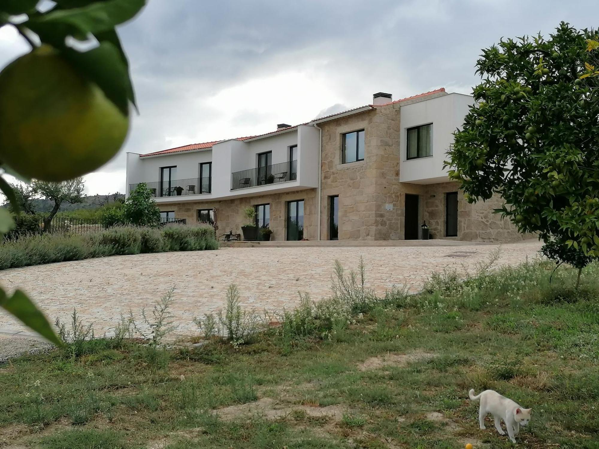 Carvalhal Redondo - Farm House Castelo Novo Exterior photo